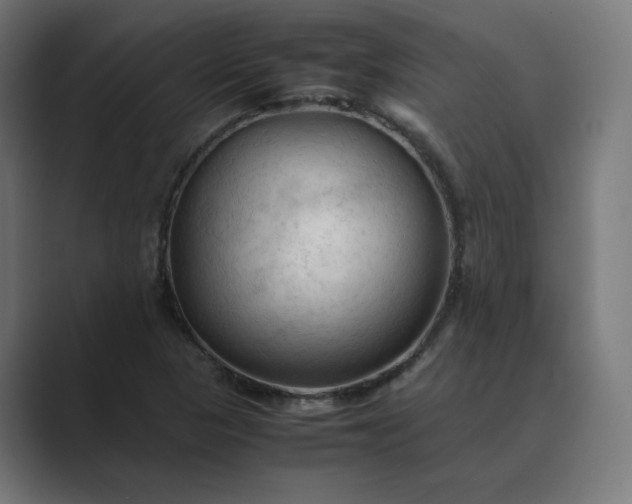 X0000089351313200706291013