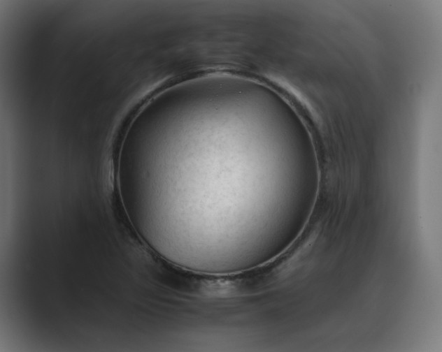 X0000089351317200706291013