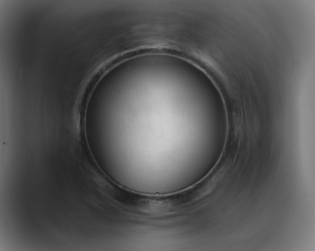 X0000089351318200706291013