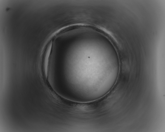 X0000089351319200706291013
