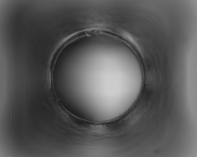 X0000089351320200706291013