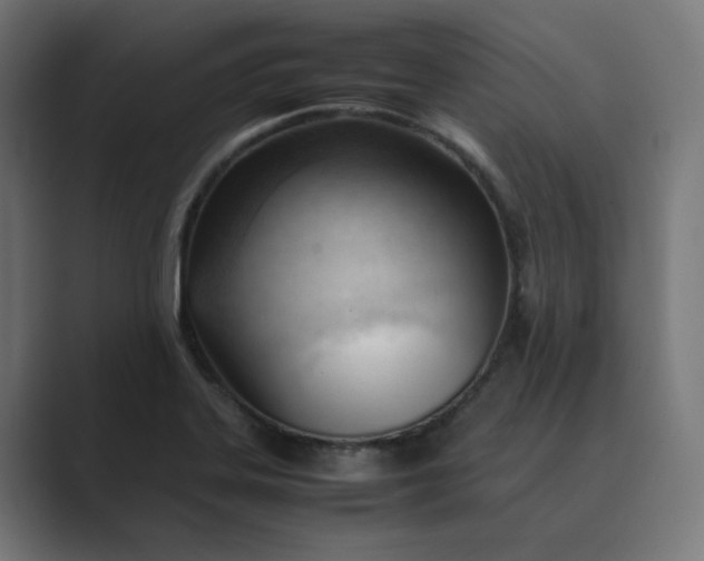 X0000089351323200706291013