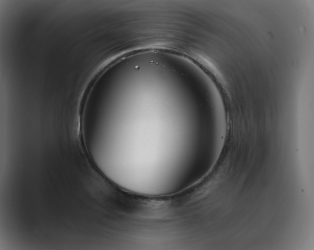 X0000089351324200706291013