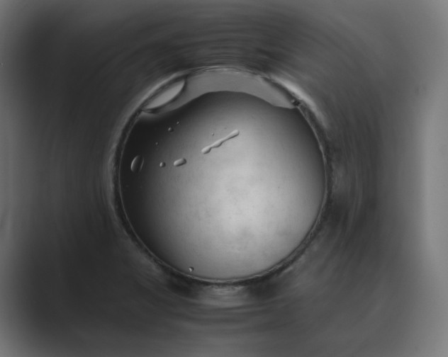 X0000089351325200706291013