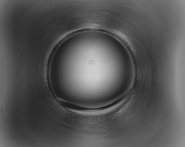 X0000089351326200706291013