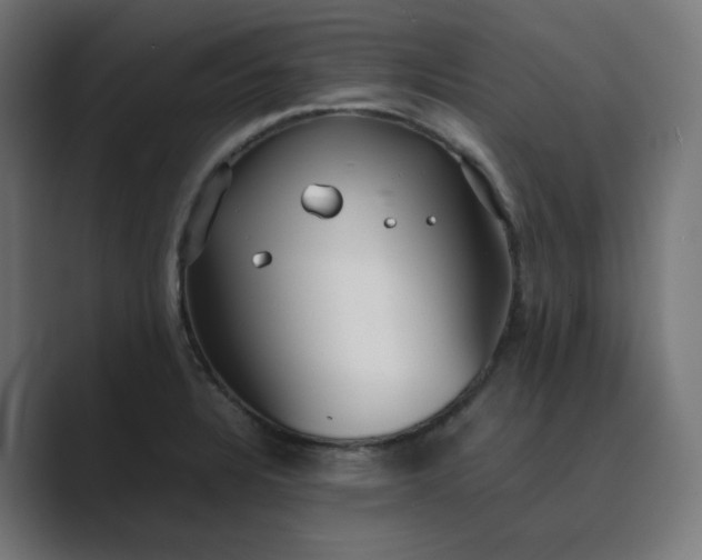 X0000089351328200706291013