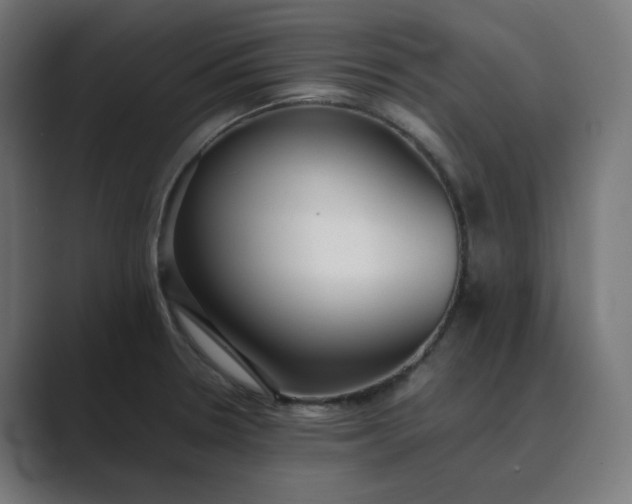 X0000089351330200706291013