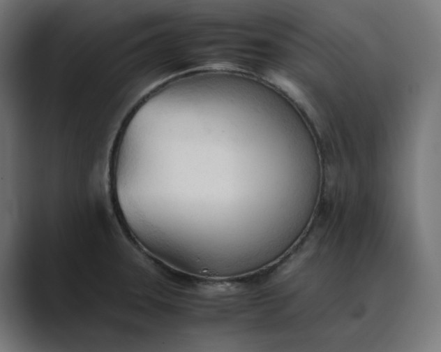 X0000089351331200706291013
