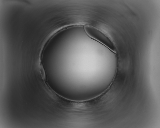 X0000089351332200706291013