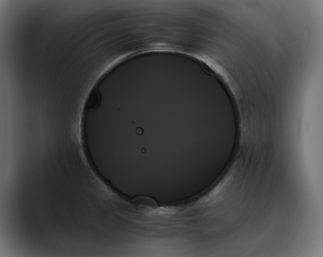 X0000089351333200706291013