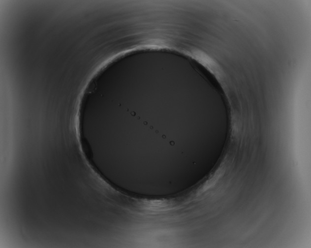 X0000089351334200706291013