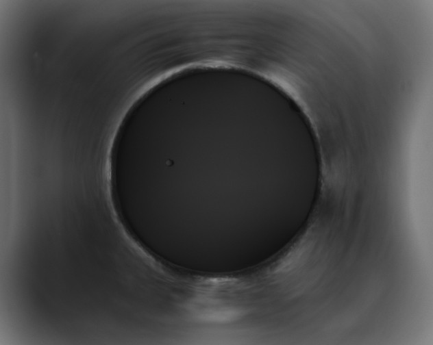 X0000089351335200706291013