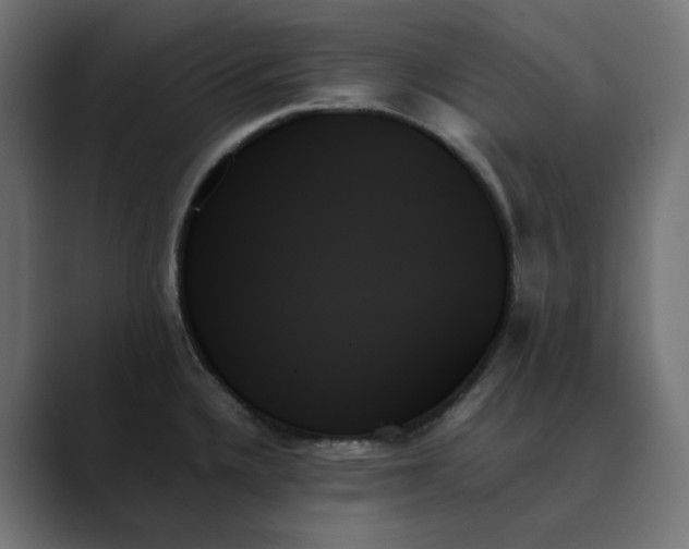 X0000089351336200706291013
