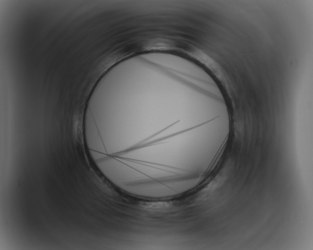 X0000089351337200706291013