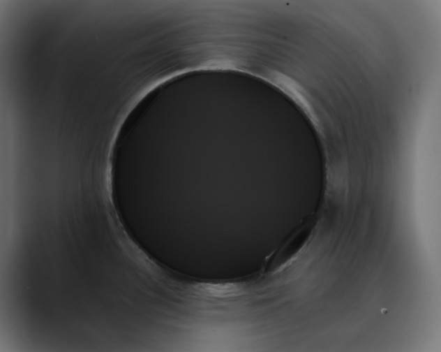 X0000089351340200706291014