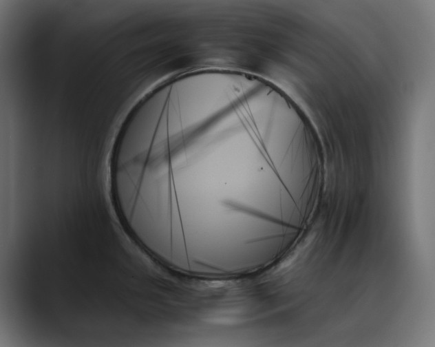 X0000089351341200706291014