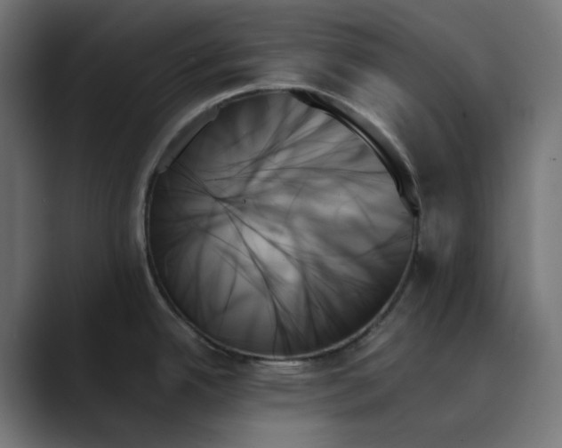 X0000089351342200706291014