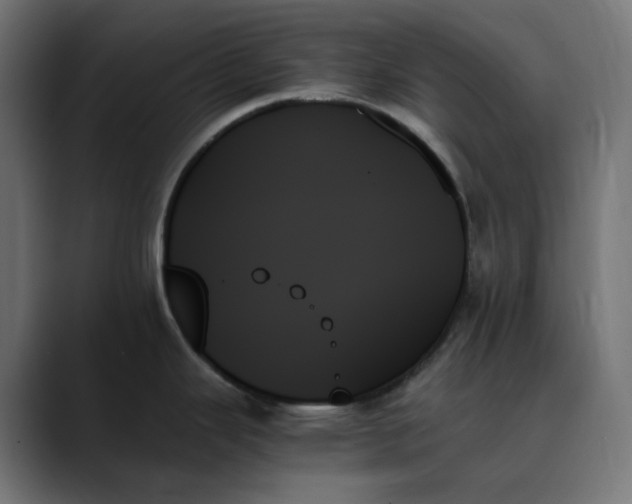 X0000089351343200706291014