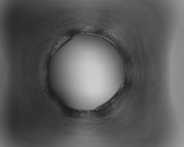 X0000089351345200706291013