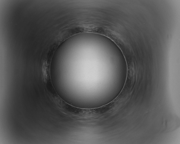 X0000089351346200706291013