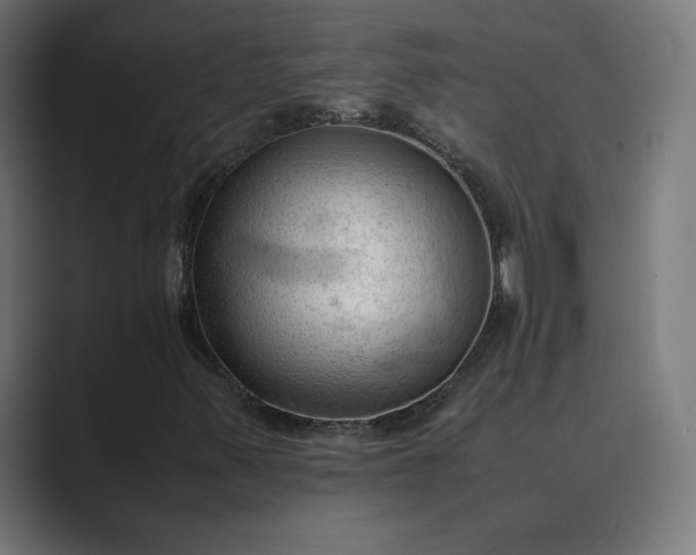 X0000089351347200706291013