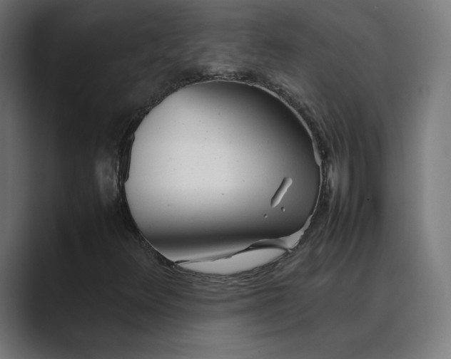 X0000089351348200706291013