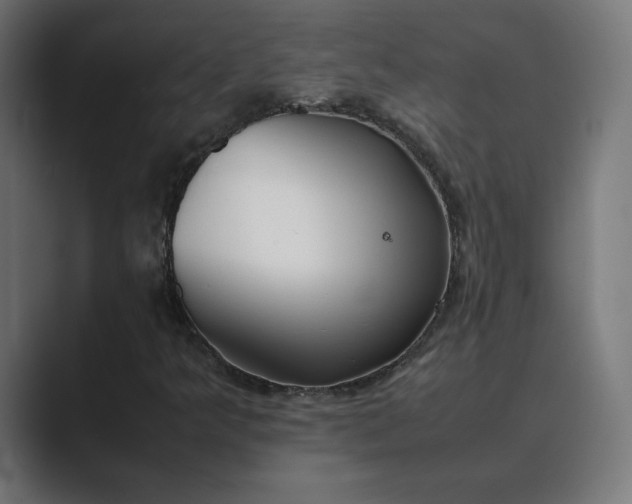 X0000089351349200706291013