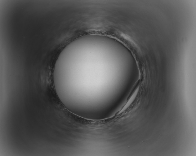 X0000089351350200706291013