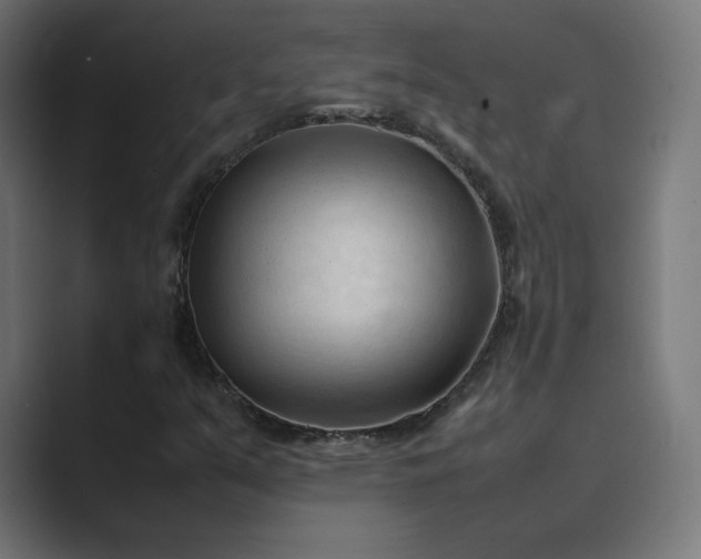 X0000089351351200706291013