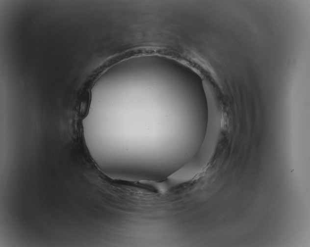 X0000089351352200706291013