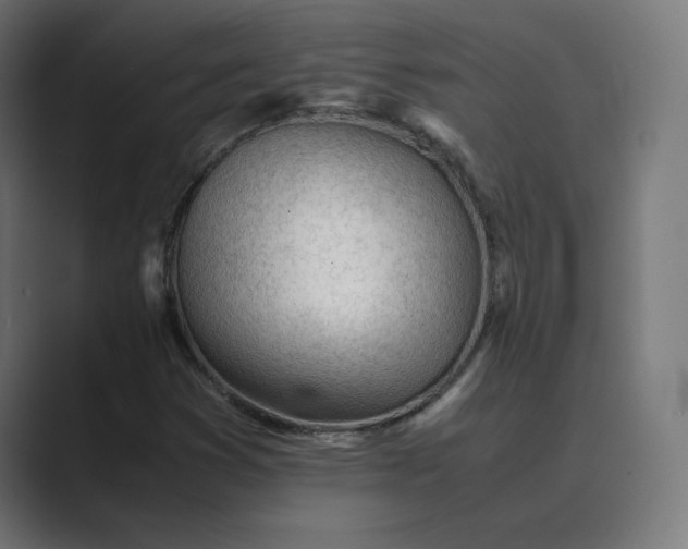 X0000089351353200706291013