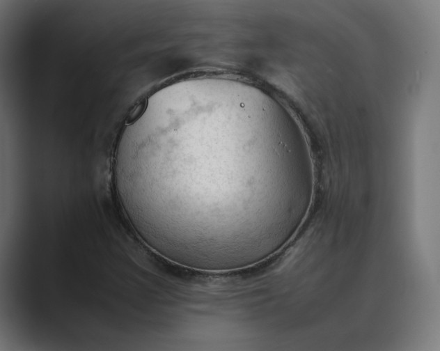X0000089351355200706291013