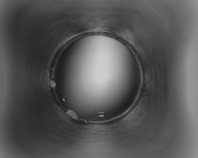 X0000089351356200706291013