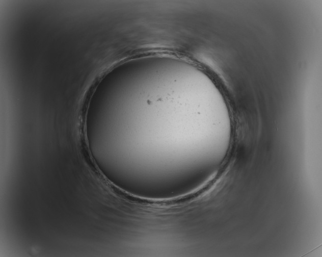 X0000089351357200706291013