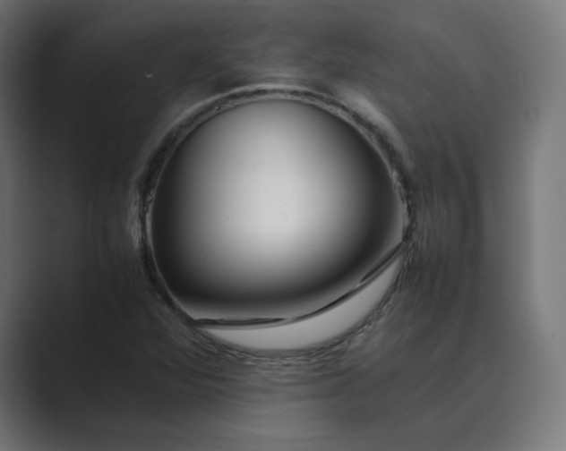 X0000089351360200706291013