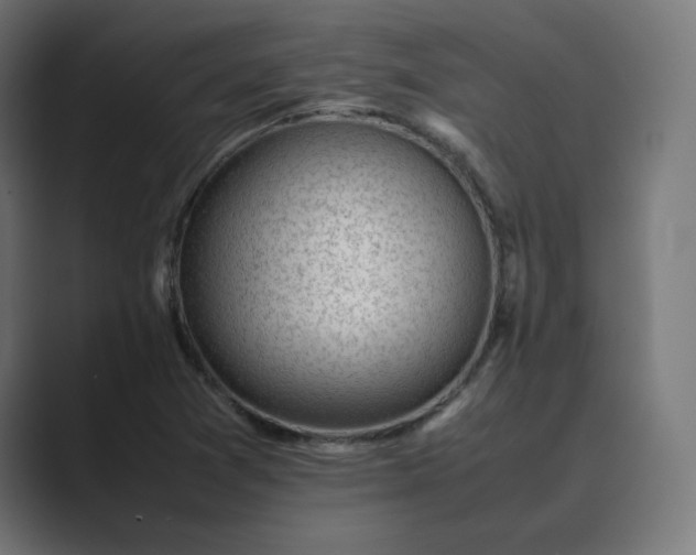 X0000089351361200706291013