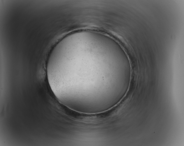 X0000089351363200706291013