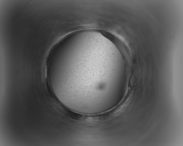X0000089351365200706291013