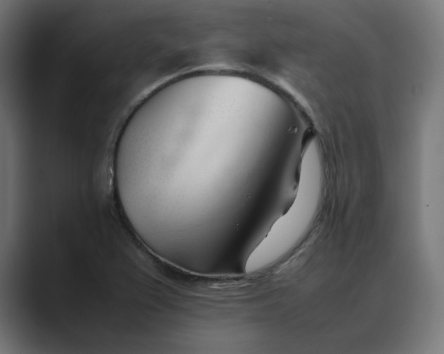 X0000089351367200706291013