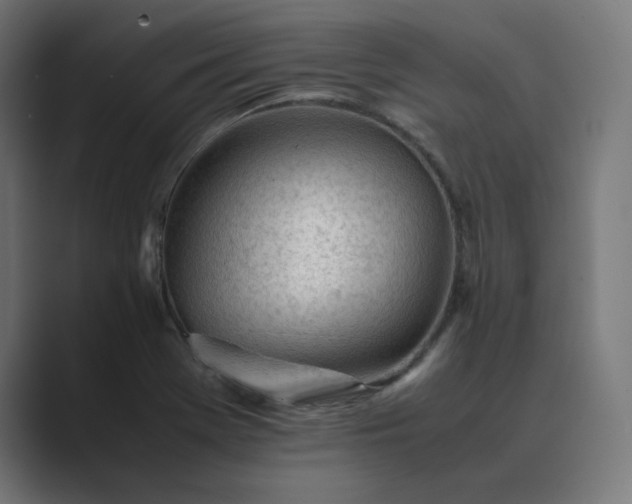 X0000089351369200706291013
