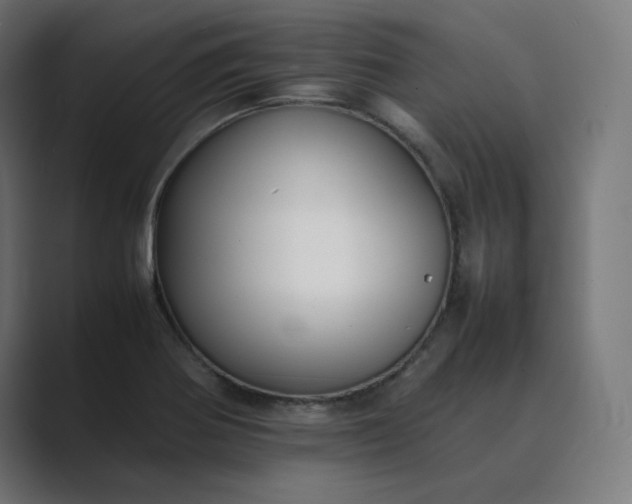 X0000089351370200706291013