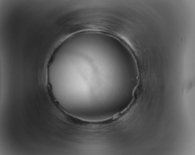 X0000089351371200706291013
