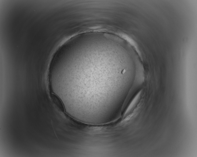 X0000089351373200706291013