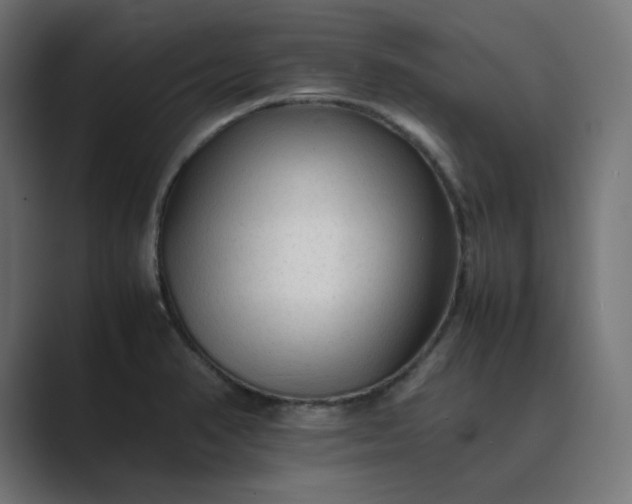 X0000089351374200706291013