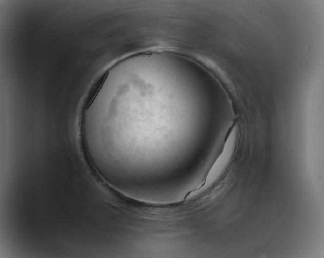 X0000089351375200706291013