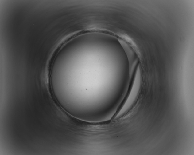 X0000089351376200706291013