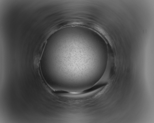 X0000089351377200706291013