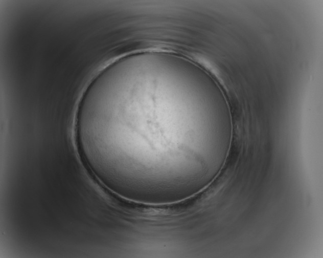 X0000089351379200706291013