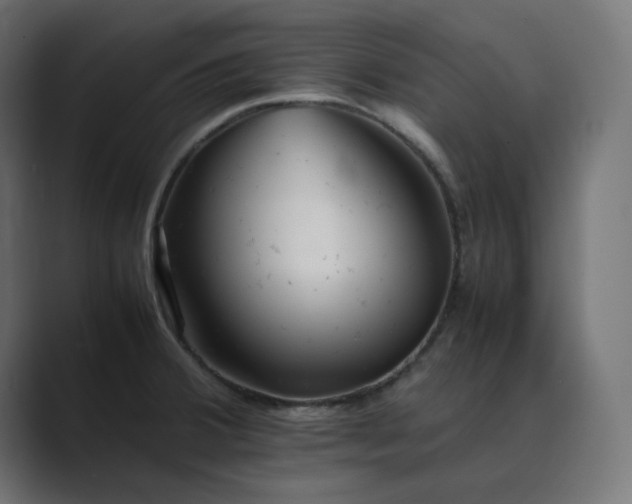X0000089351380200706291013