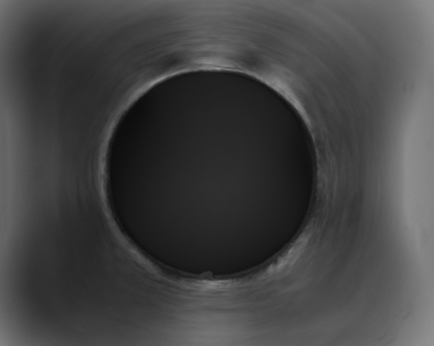 X0000089351381200706291012